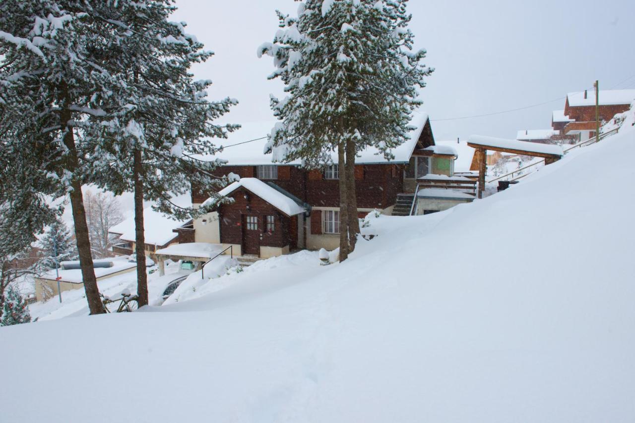 Appartamento Chalet 4 Personnes Avec Sauna Leysin Esterno foto