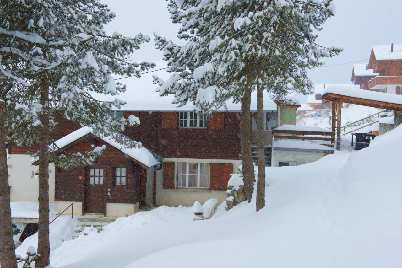 Chalet 4 Personnes Avec Sauna Leysin Esterno foto